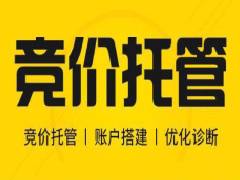 競價網(wǎng)絡營銷推廣